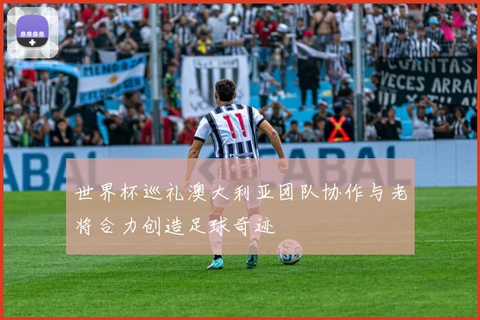 世界杯巡礼澳大利亚团队协作与老将合力创造足球奇迹